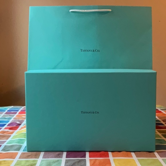 🎀 TIFFANY & CO. BAG AND BOX BUNDLE 🎀 NWOT 🎀 - Picture 4 of 16